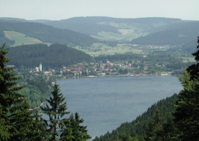 Mountainbiken Schwarzwald