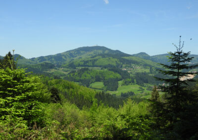 Mountainbiken Schwarzwald
